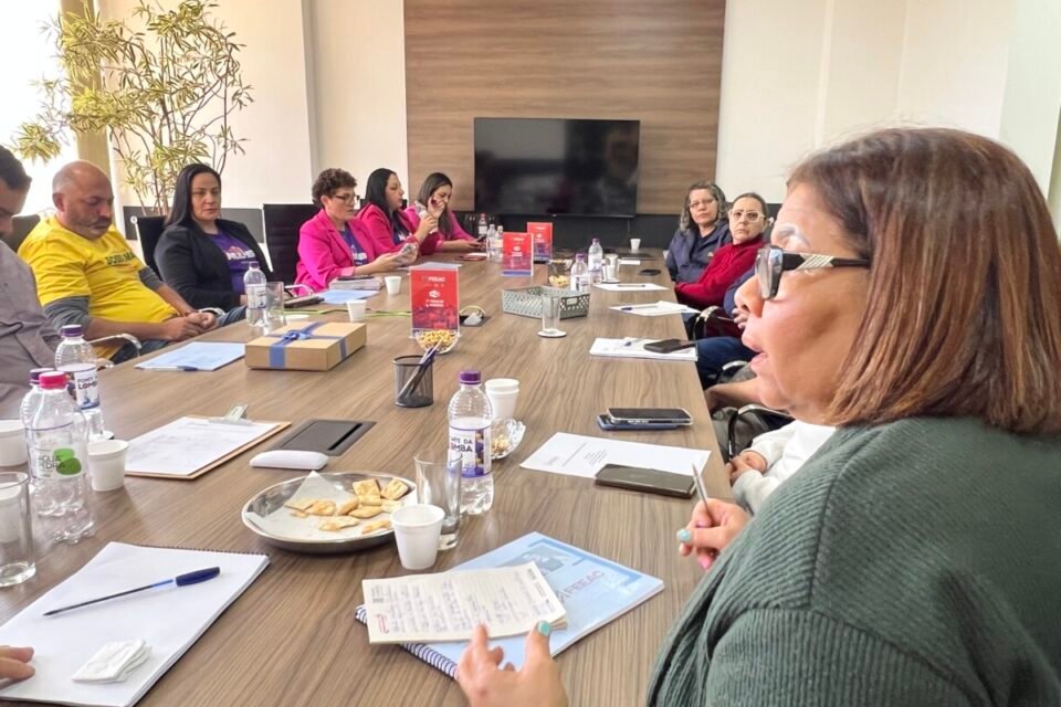 Imagem da notícia FEEAC-RS realiza reunião ampliada do Departamento de Mulheres para debater pesquisa e ações do Outubro Lilás